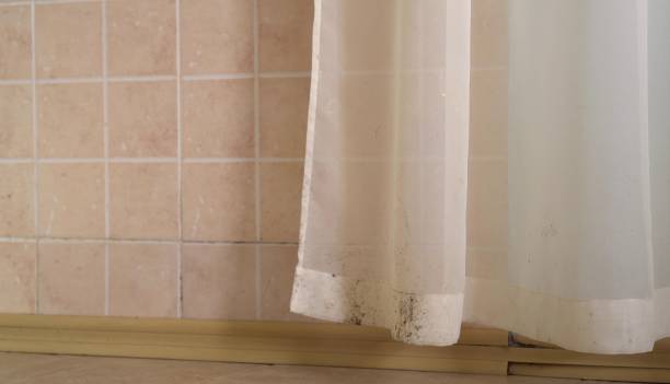 Best Mold-Related Health Consultation  in Carmel, IN