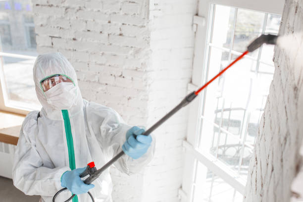 Best Dehumidification Services  in Carmel, IN