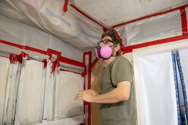 Best Mold Documentation for Insurance Claims  in Carmel, IN