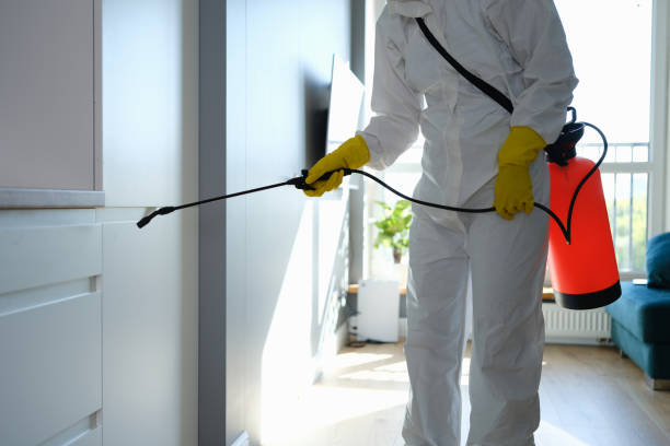 Mold Remediation for Vacation Homes in Carmel, IN