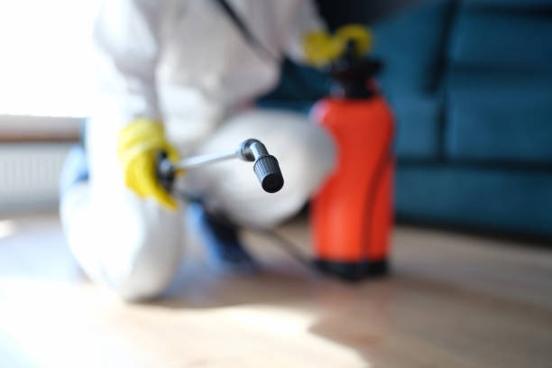  Carmel, IN Mold Removal Pros