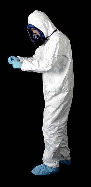 Trusted Carmel, IN Mold Removal Experts