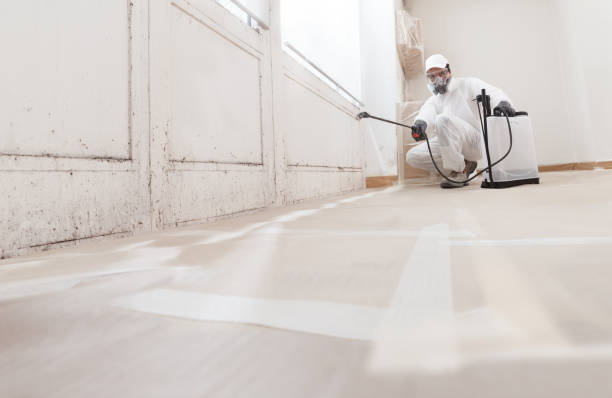 Mold Odor Removal Services in Carmel, IN